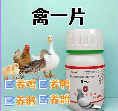 养鹅饲料添加剂有哪些 鹅的饲料配方