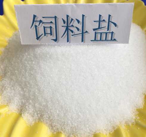 养羊饲料里需加多少盐 搞养殖业养羊,喂养的饲料浓缩料比例是多少