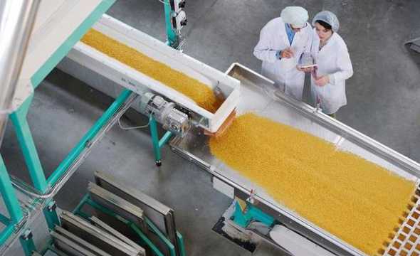 玉米压片在饲料中添加剂 加工玉米压片饲料有前景吗加工玉米压片的机子需要多少钱