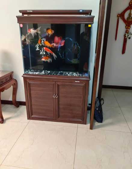 森森鱼缸牌子是什么字母 森森鱼缸哪个型号好