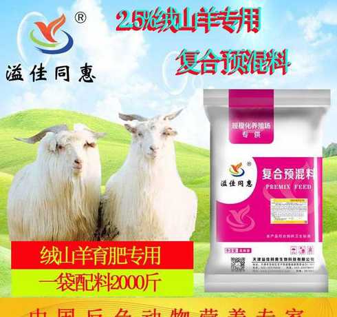 绒山羊圈养都喂什么饲料 圈养绒山羊的注意事项