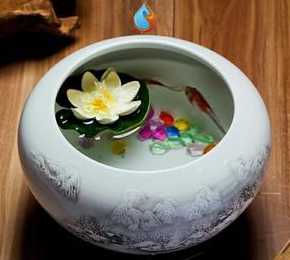 鱼缸用品开票要什么类目 鱼缸养鱼必备用品有哪些,裸缸养鱼行不行