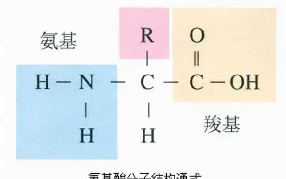 什么是饲料中三大有机物 能量对猪有什么作用猪如何从饲料中获得能量