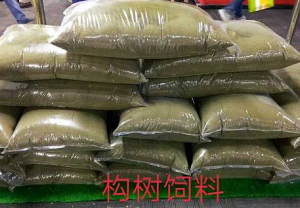 构树当饲料的原料有哪些 杂交构树叶可以做饲料