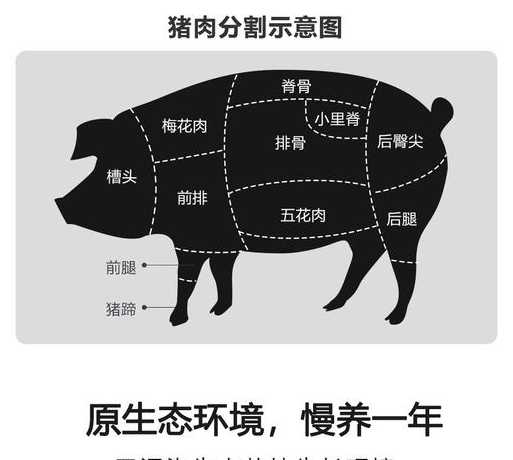 猪吃无抗饲料有什么好处 无抗饲料对养殖业有什么影响