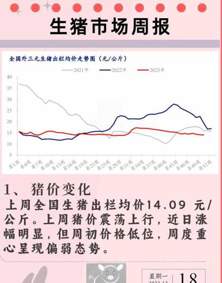 生猪价格20246月2 2025年是几屠共猪
